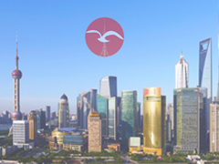 上半年上海社会消费品零售总额增逾三成 国际消费中心城市建设启动